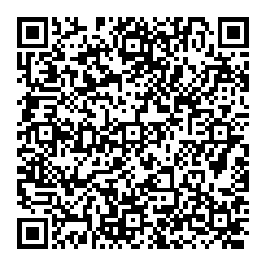 QR-код. ID NV-046. Наталья Вишнякова "Вечер у сфинксов"