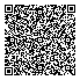 QR-код. ID NV-047. Наталья Вишнякова "Зимний день. Исаакиевский собор"