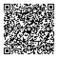 QR-код. ID NV-048. Наталья Вишнякова "На улочках Валдая"