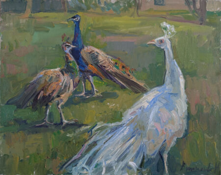 Художник Наталья Вишнякова. Павлины. Масло, холст, 40 x 50 см. Живопись, реализм, жанровая композиция. Усадьба Марьино, 2022 г. NV-059