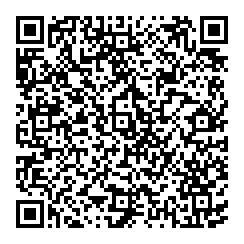 QR-код. ID NV-010. Наталья Вишнякова "Зимний день"