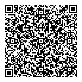 QR-код. ID NV-037. Наталья Вишнякова "Набережная лейтенанта Шмидта"