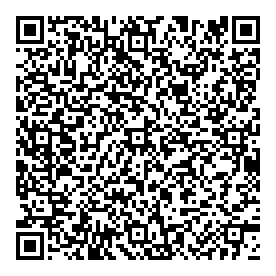 QR-код. ID NV-081. Наталья Вишнякова "Набережная реки Мойки у Михайловского сада"